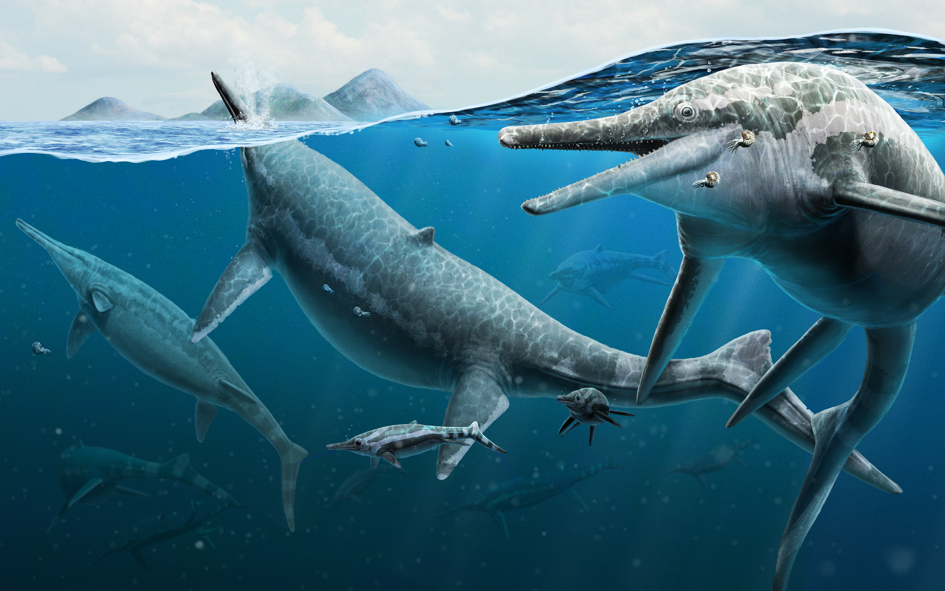 ichthyosaur drawing