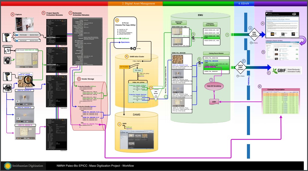 Virtual Workflow Diagram