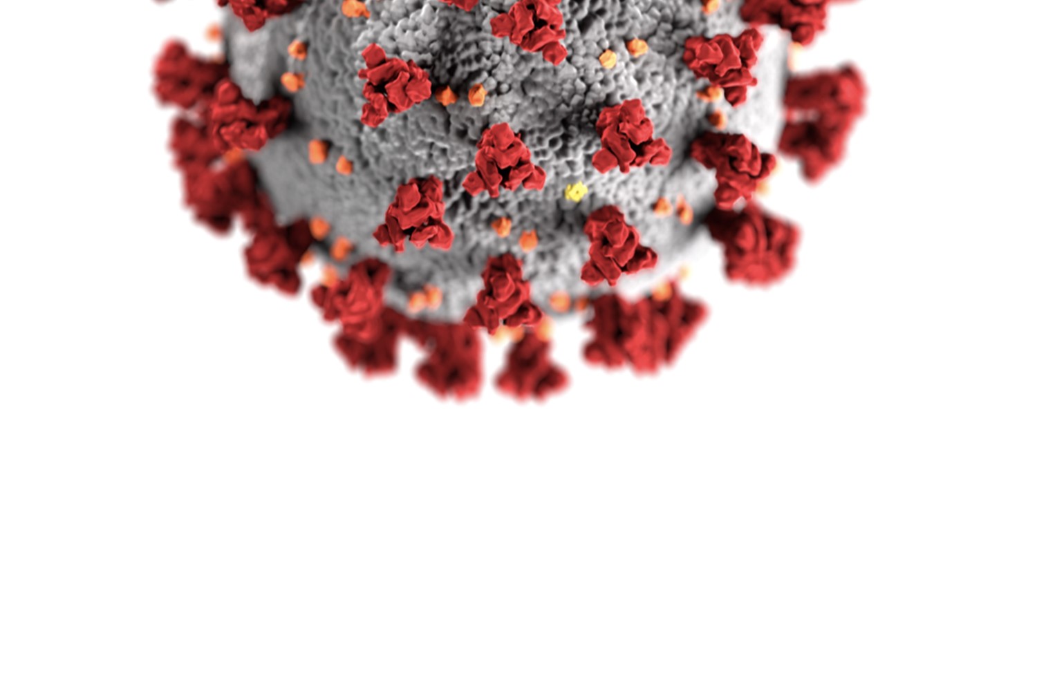 Image of coronavirus for blog article on worksafe practices