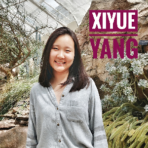 Xiyue Yang
