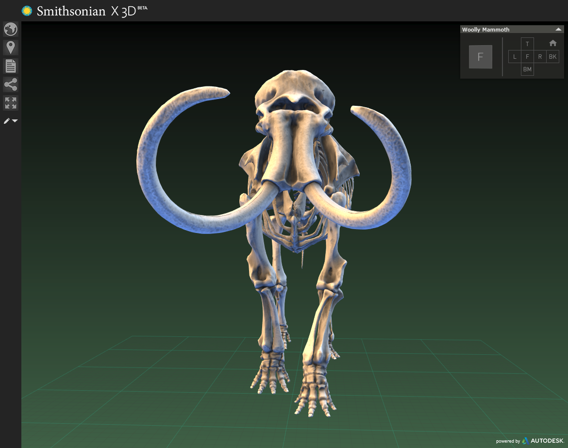 image of mammoth skeleton in 3d viewer