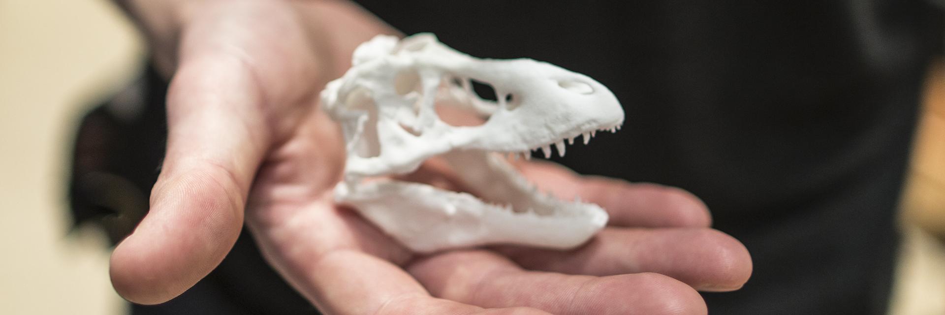T. Rex 3D Skull